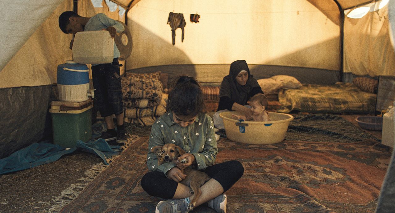 Das Los des Fremden : Bild