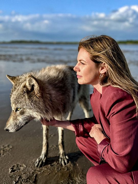 Neuer Wind im Alten Land: Der Wolf : Kinoposter