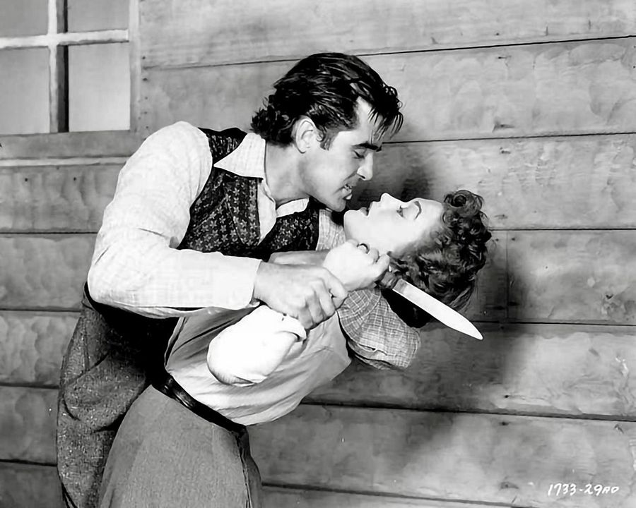 Allen Gefahren zum Trotz : Bild