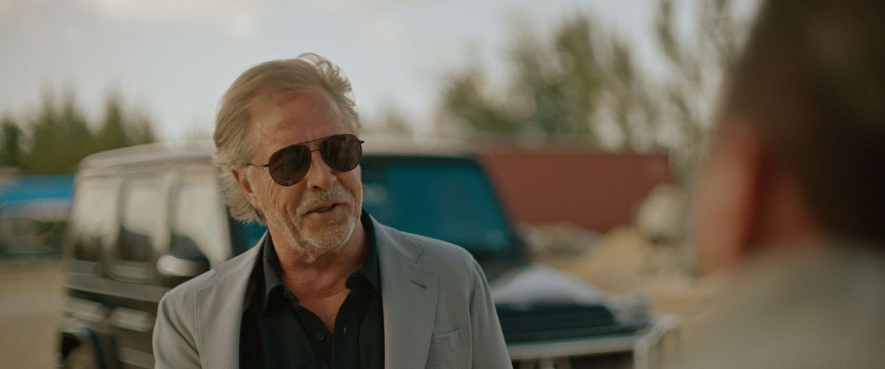 The Lock Up : Bild Don Johnson
