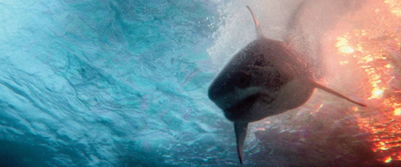 Deep Water: Umringt von Haien : Bild