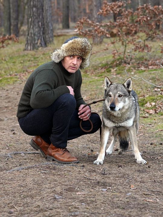 Dünentod - Ein Nordsee-Krimi: Blutiges Moor : Kinoposter