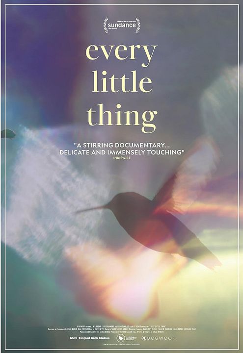 Every Little Thing : Kinoposter