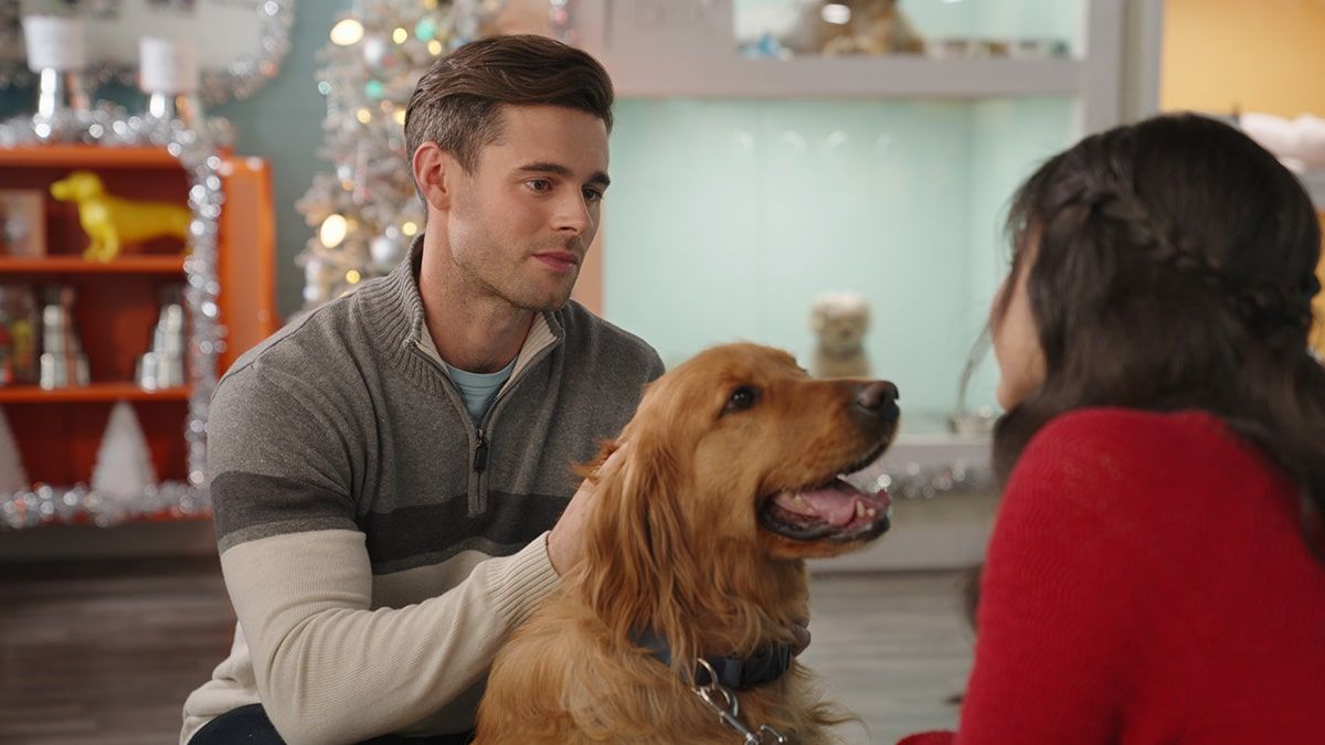 Weihnachtsglück mit Herz und Hund : Bild