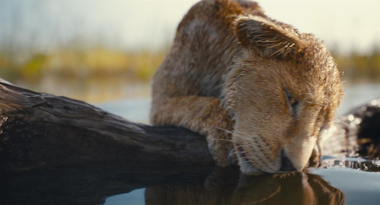 Mufasa: Der König der Löwen : Bild