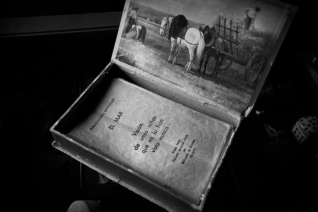 Der Lehrer, der uns das Meer versprach : Bild