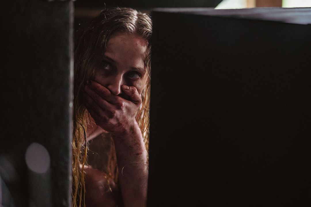 Trust - Eine Frage des Vertrauens : Bild Sophie Turner