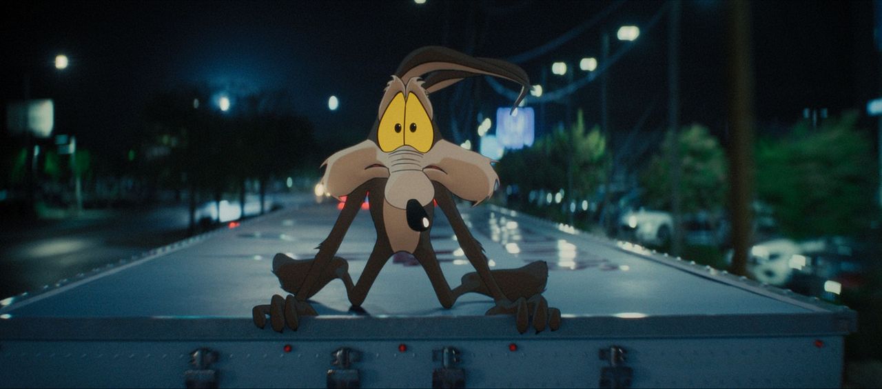 Coyote vs Acme : Bild