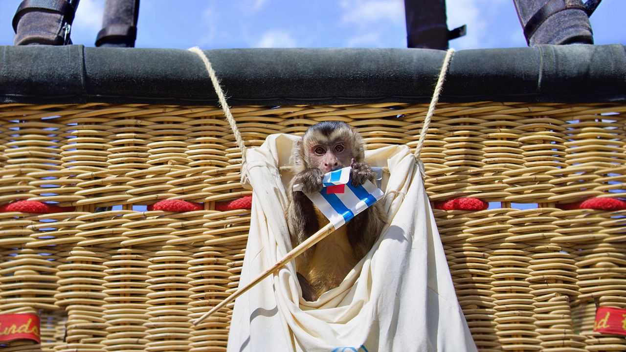 Akiko – Der fliegende Affe : Bild Monty der Affe