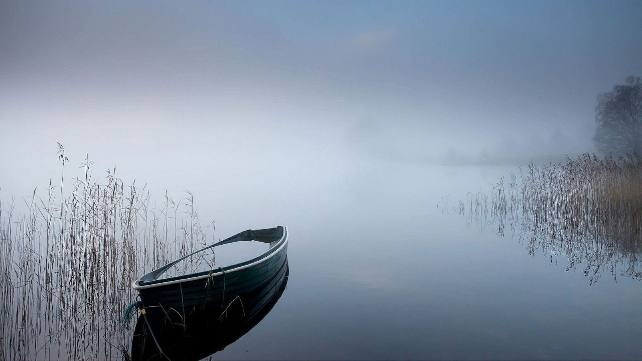 Terror At Tenkiller : Bild