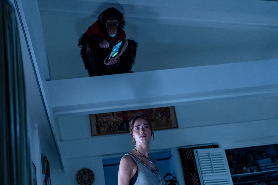 Primate : Bild Johnny Sequoyah, Miguel Torres Umba