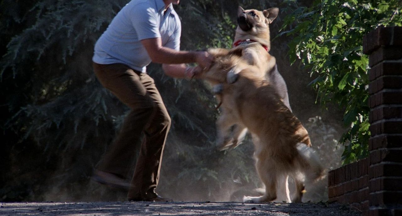 Wo der Schrecken wohnt : Bild