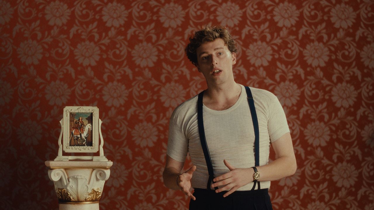 Noch lange keine Lipizzaner : Bild