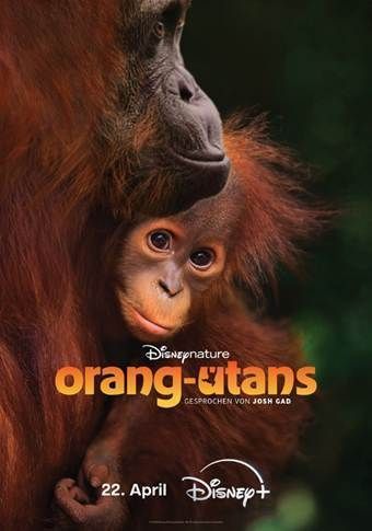 Disneynature: Orang-Utans : Kinoposter