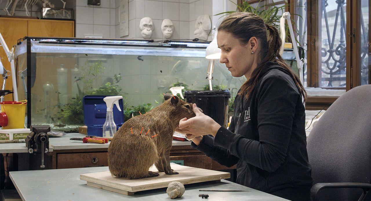 Archiv der Zukunft : Bild