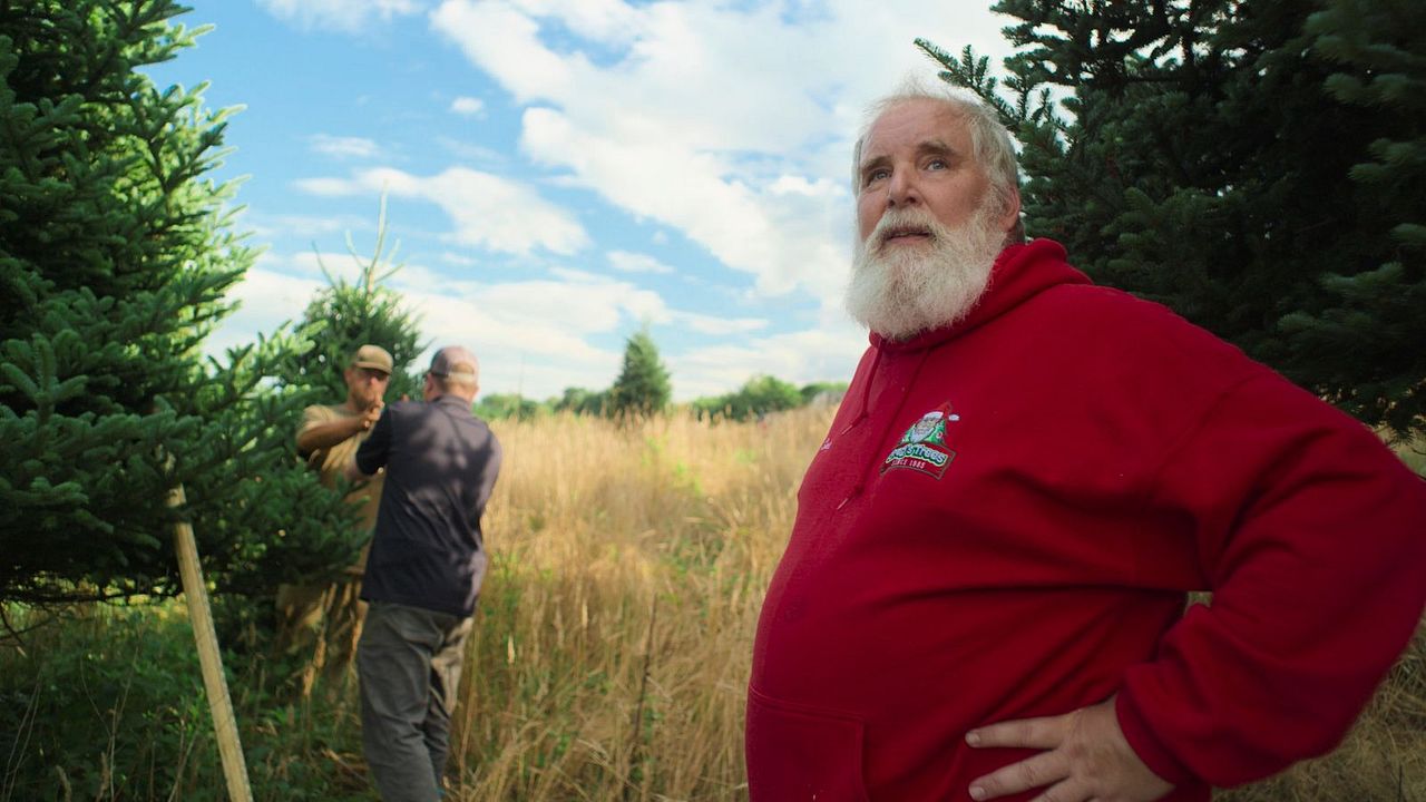 The Merchants Of Joy : Bild Gregory Walsh