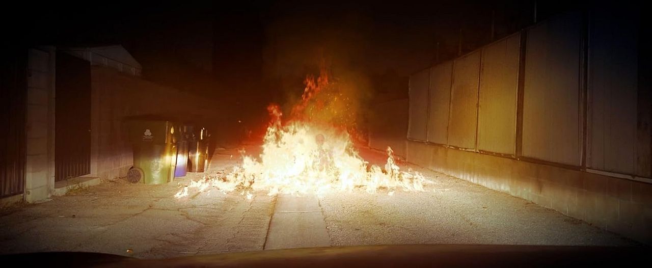 Morgan: Killer Doll : Bild