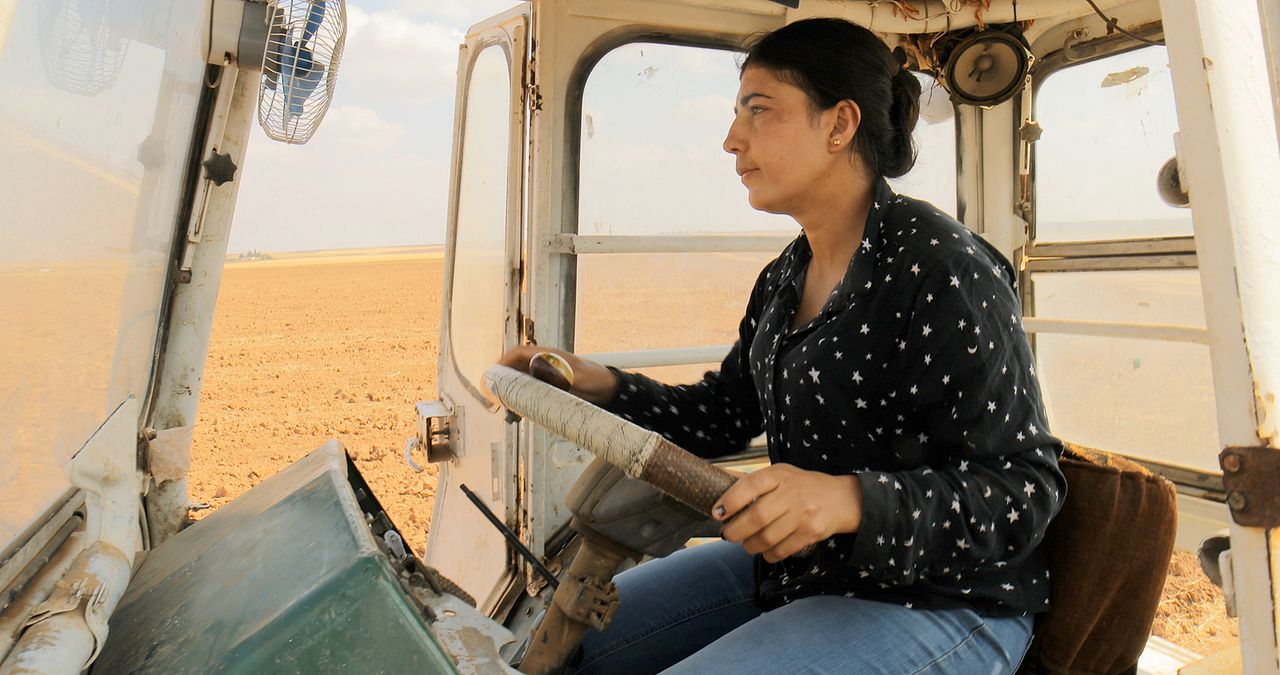 Tevî her tiştî – Trotz alledem : Bild