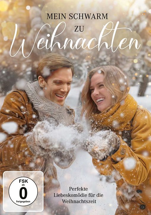 Mein Schwarm zu Weihnachten : Kinoposter