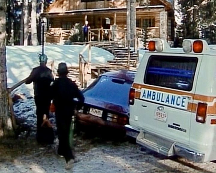 Die Spur der zweiten Frau : Bild