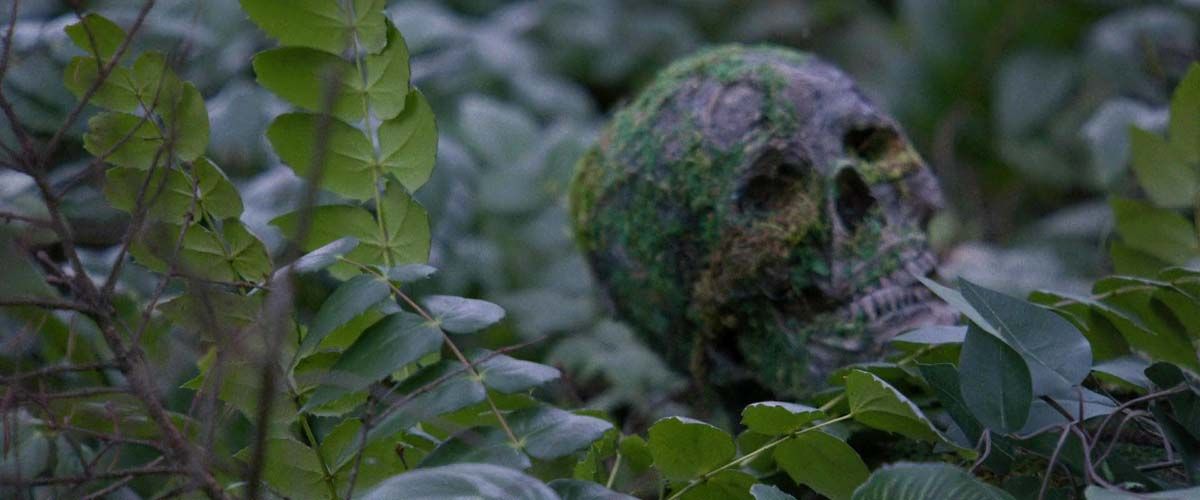 Die Alone : Bild Douglas Smith (III)