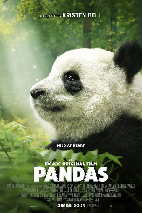 Pandas : Kinoposter