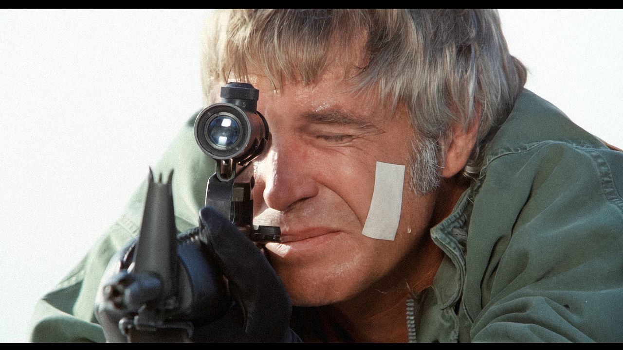 Auf eigene Gefahr : Bild George Peppard