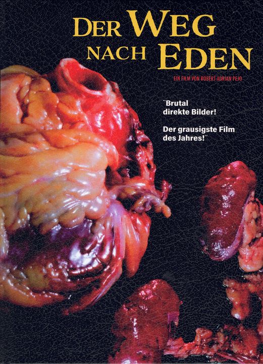 Der Weg nach Eden : Kinoposter