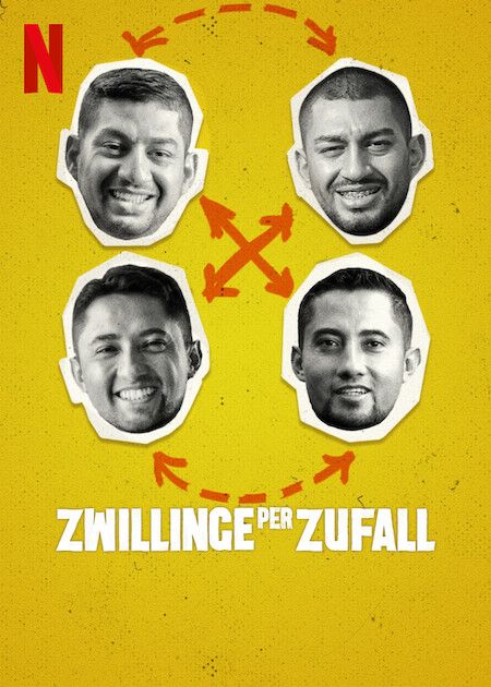 Zwillinge per Zufall : Kinoposter