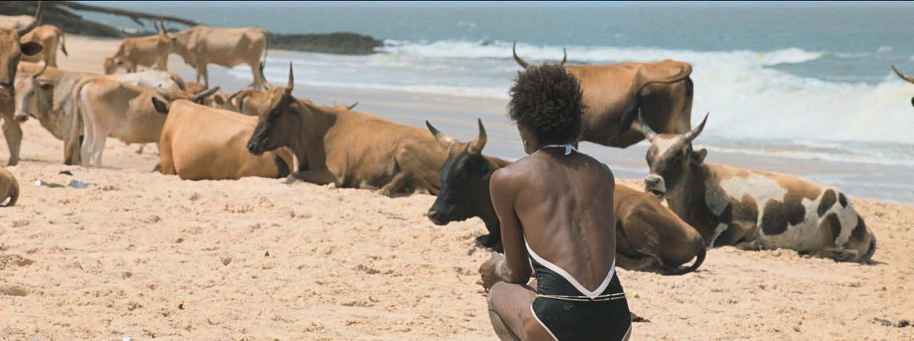 I Only Rest In The Storm : Bild