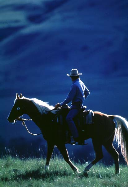 Der Pferdeflüsterer : Bild Robert Redford