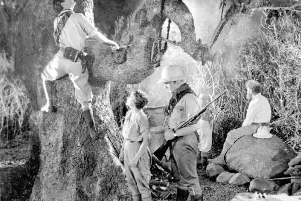 Die verlorene Welt : Bild