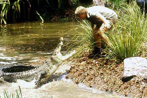 Crocodile Hunter - Auf Crash-Kurs : Bild