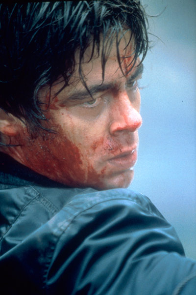 Die Stunde des Jägers : Bild Benicio Del Toro