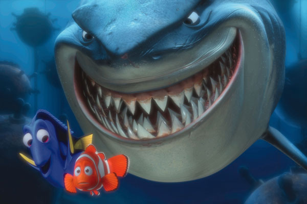 Findet Nemo : Bild