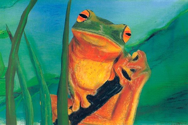 Bild Lucinda Clutterbuck