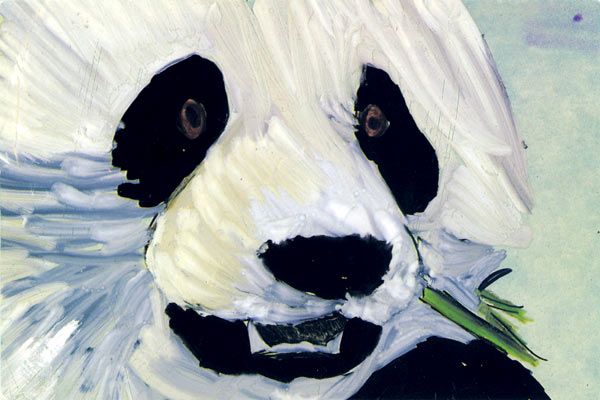 Bild Lucinda Clutterbuck