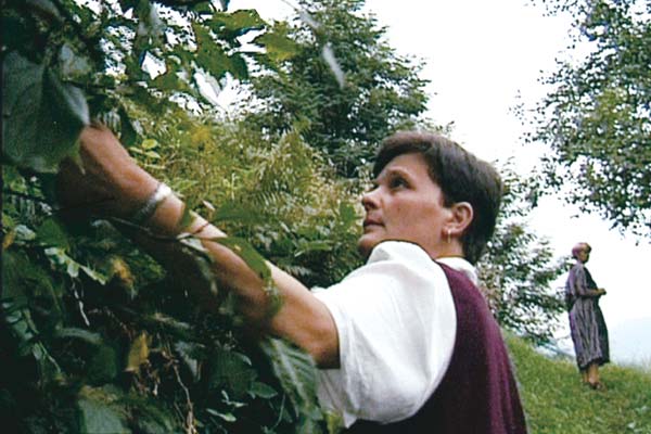 Bild Laurent Bécue-Renard