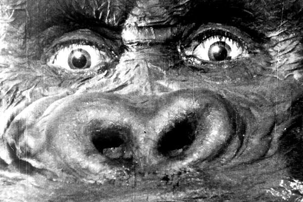 King Kong und die weiße Frau : Bild Merian C. Cooper, Ernest B. Schoedsack
