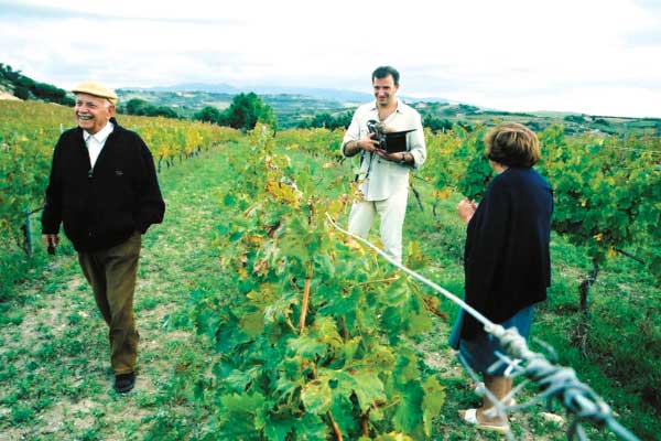 Mondovino - Die Wahrheit liegt im Wein : Bild