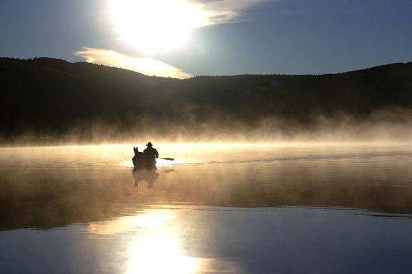 Der letzte Trapper : Bild Norman Winther