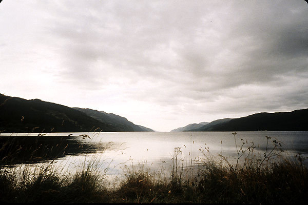 Incident at Loch Ness : Bild Zak Penn