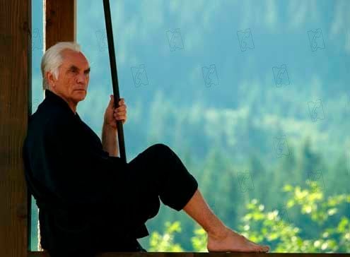 Elektra : Bild Terence Stamp