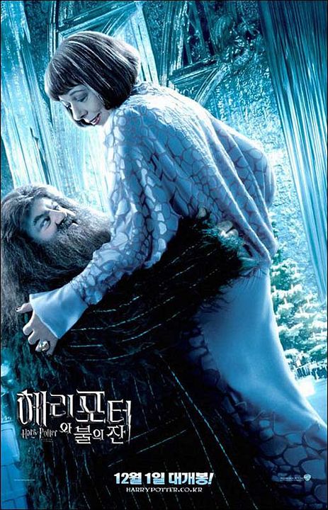 Harry Potter und der Feuerkelch : Kinoposter