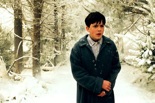 Die Chroniken von Narnia - Der König von Narnia : Bild Skandar Keynes, Andrew Adamson