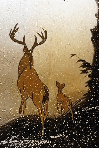 Bambi : Bild
