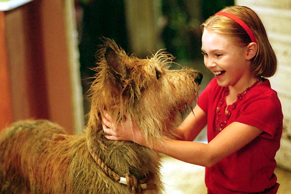 Winn-Dixie - Mein zotteliger Freund : Bild Wayne Wang, AnnaSophia Robb