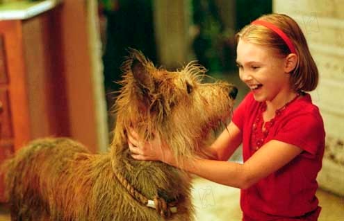 Winn-Dixie - Mein zotteliger Freund : Bild AnnaSophia Robb, Wayne Wang