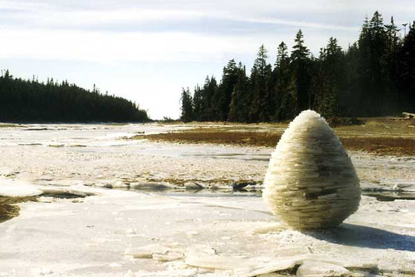 Rivers and Tides : Bild Thomas Riedelsheimer