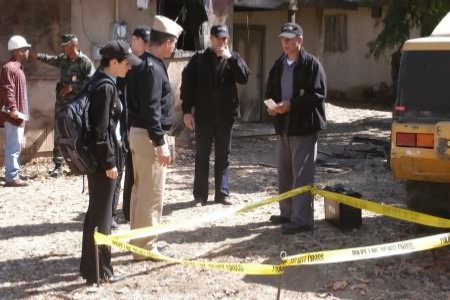 Bild Mark Harmon, Michael Weatherly, Sasha Alexander